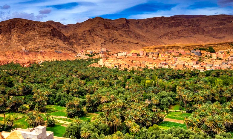 7 Days Marrakech Desert & Imperial Cities Tour - Morocco desert tour