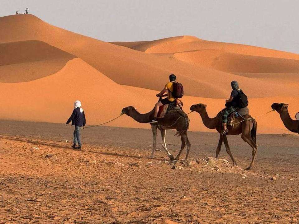 Giornata nel deserto